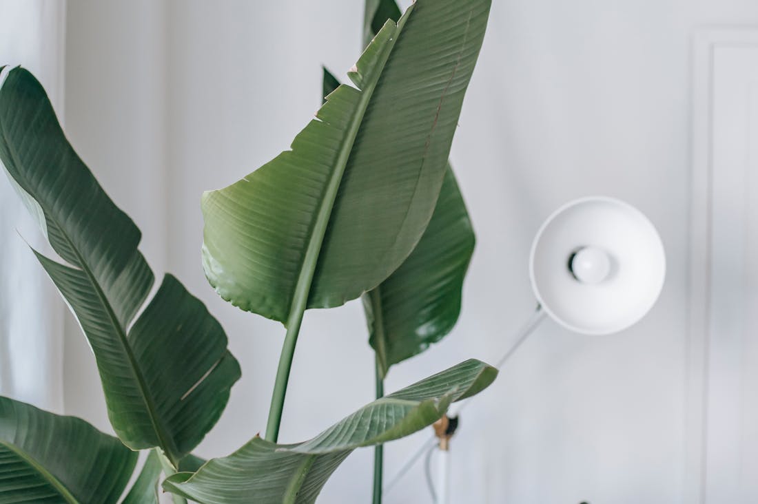 Transforming Ordinary Spaces into Inspiring Home Environments Image 2