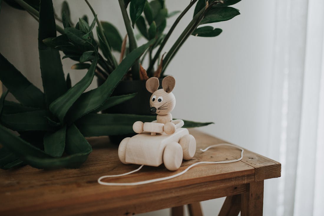 Transforming Your Space: Tips for a Healthier Home Environment Image 3