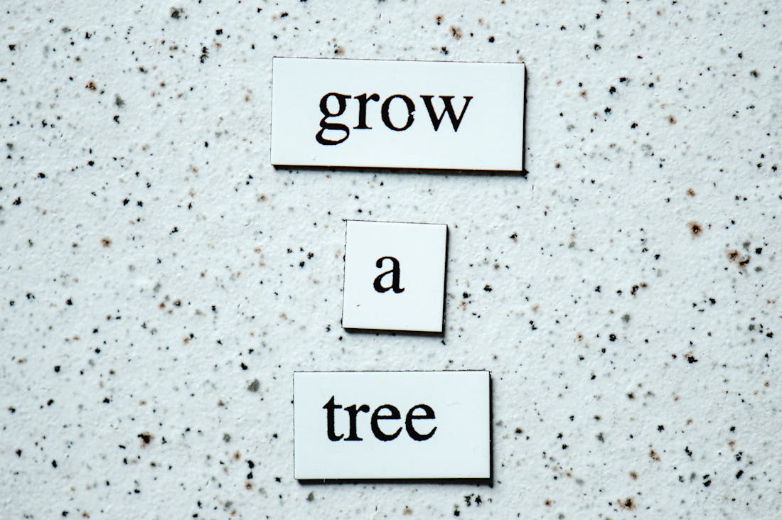 Crafting a Sustainable Lifestyle for Future Generations Image 2