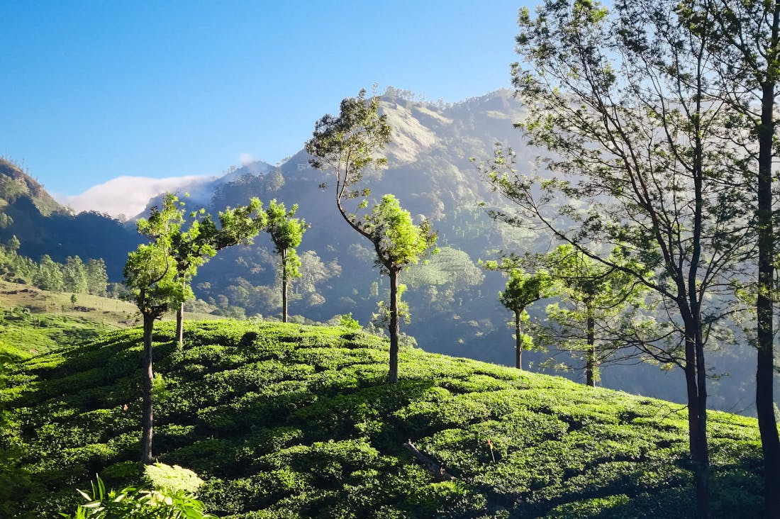 Innovative Travel Experiences That Go Beyond Traditional Vacations Image 3