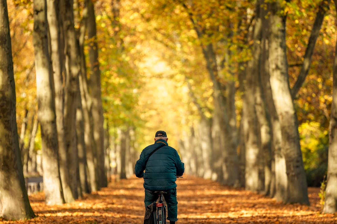 Maximizing Travel Experiences: Tips to Enhance Every Journey Image 2