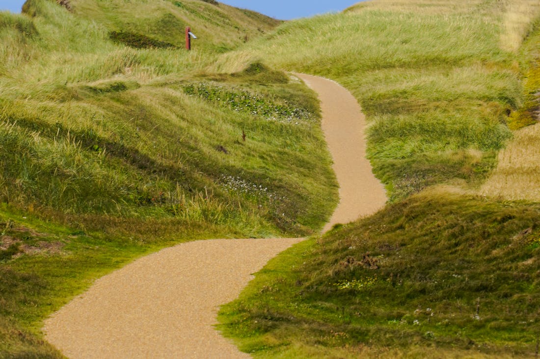 The Future of Sustainable Travel: Trends, Technologies, and Tips for Eco-Friendly Adventurers Image 2