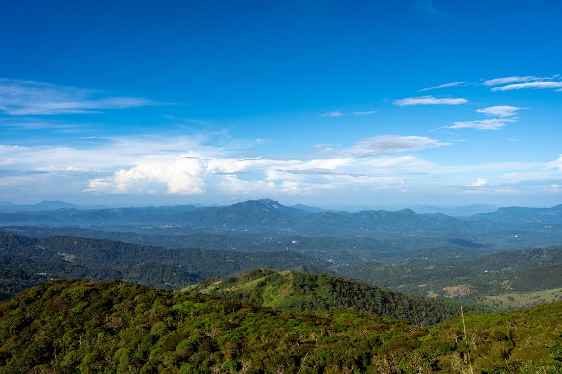 The Future of Travel: Sustainable Trends and Eco-Friendly Destinations to Explore Image 2
