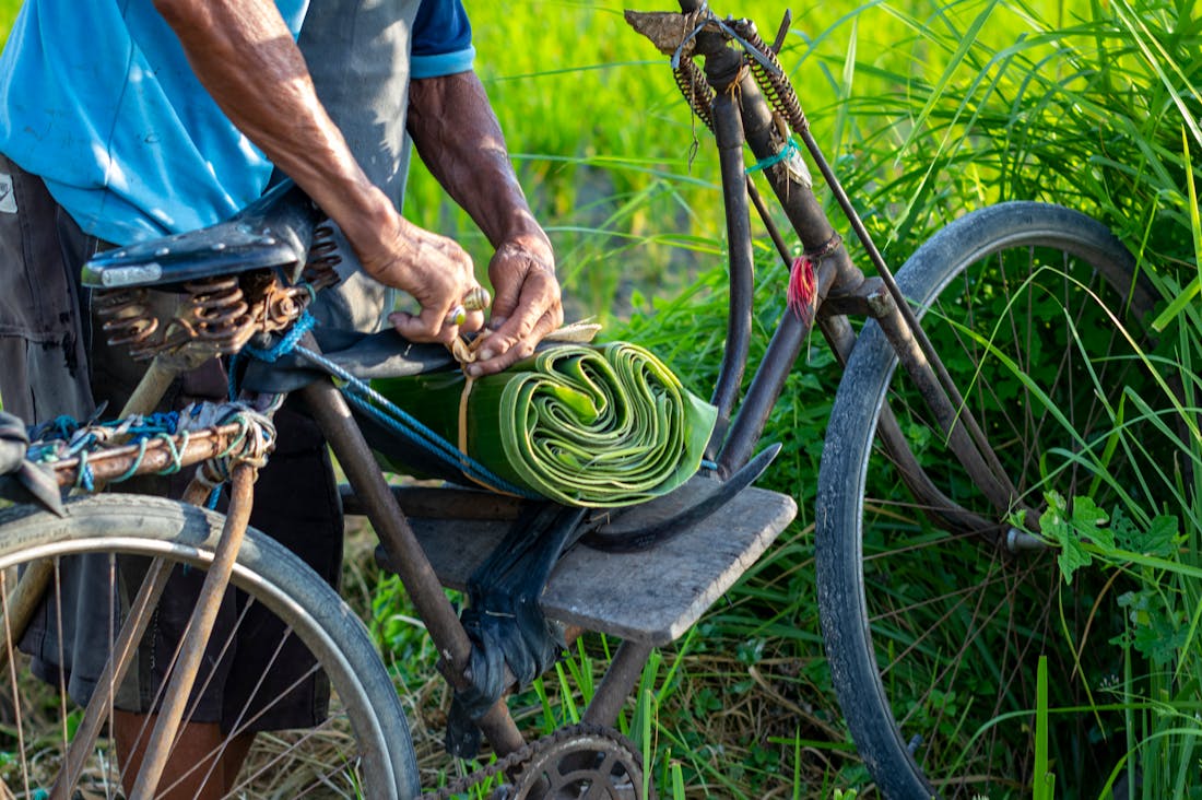 The Rise of Eco-Friendly Cars: Sustainable Solutions for a Greener Future Image 3