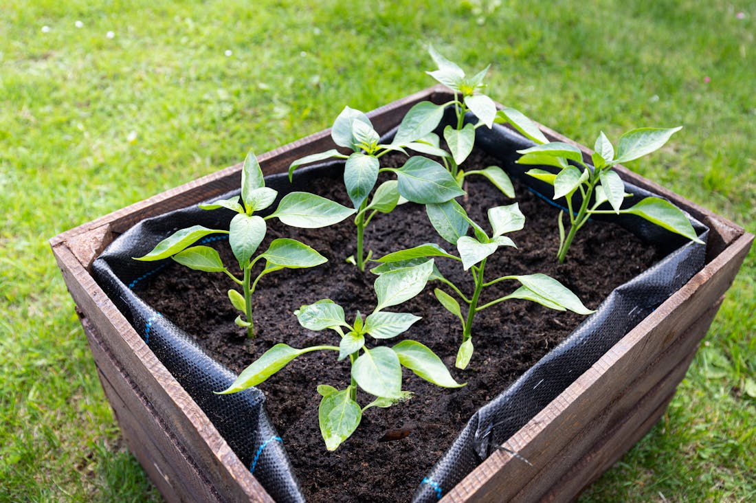 Financial Wellness Beyond Budgeting: Strategies for Abundant Living Image 3