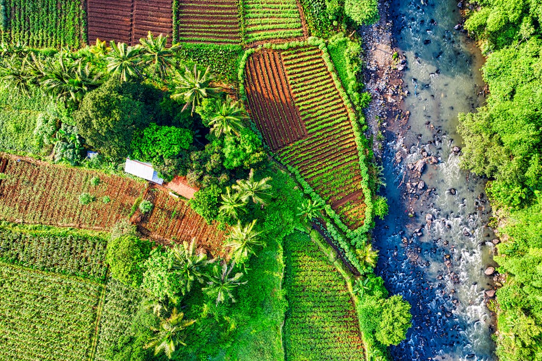 The Rising Trend of Sustainable Travel: Tips for Eco-Friendly Explorations Around the Globe Image 1
