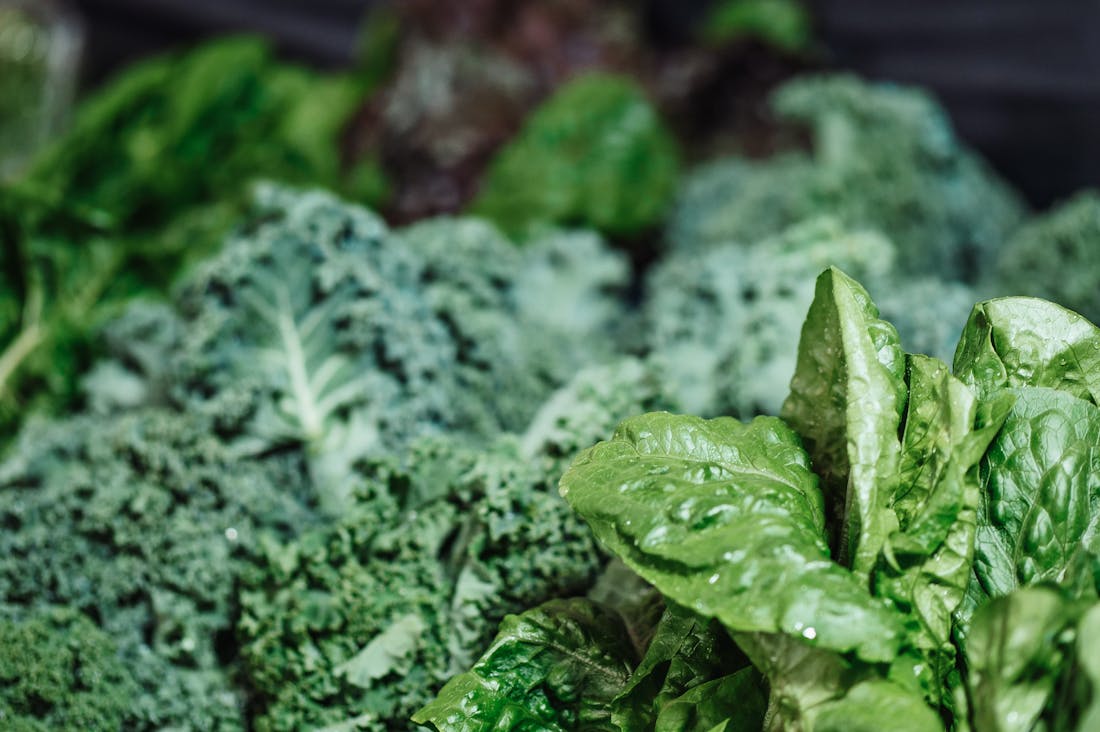 Essential Steps for Maintaining Optimal Health in a Busy World Image 1