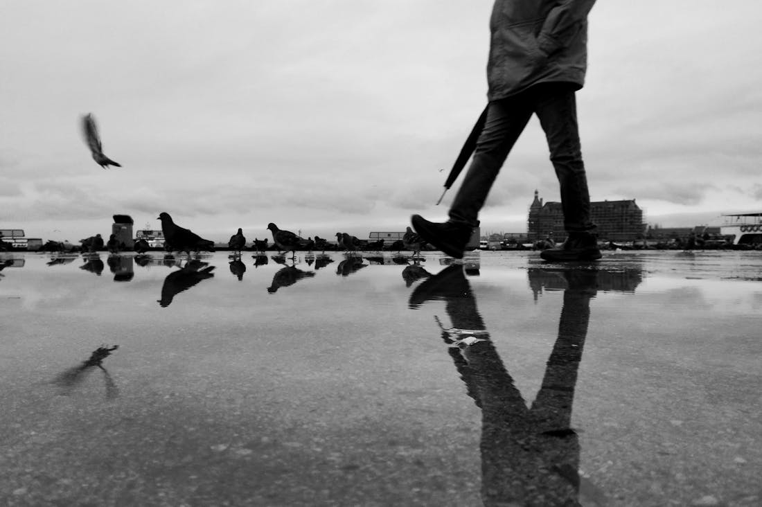 Essential Strategies for Optimal Health: Balancing Wellness in a Busy World Image 1