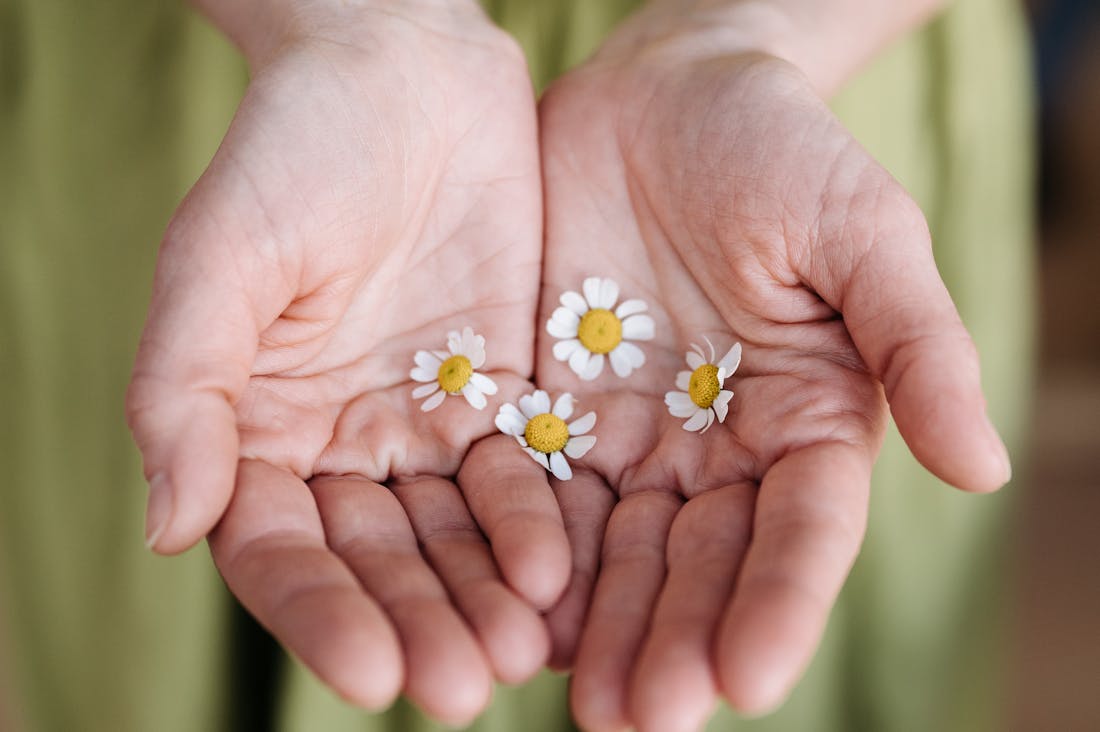 Innovative Health Trends Redefining Wellness in Modern Society Image 1