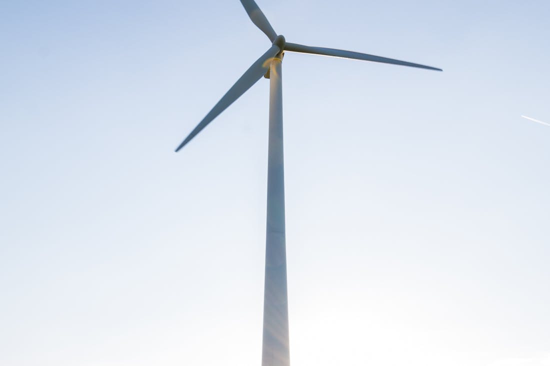 Secrets to Sustainable Living: Simple Steps for a Healthier Planet Image 2
