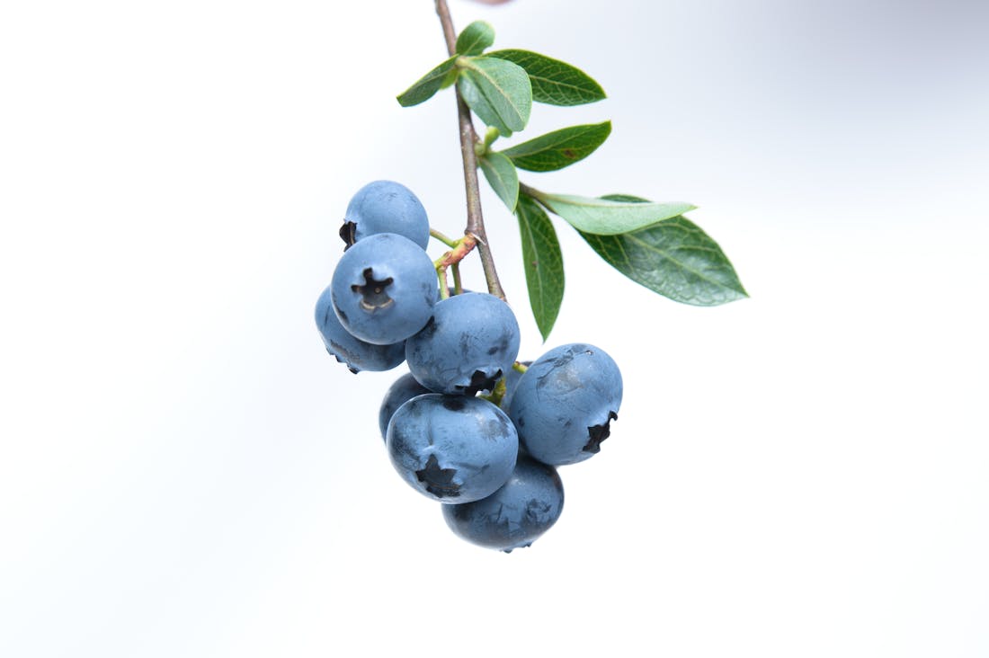 Finding Balance: Sustainable Lifestyle Choices that Benefit Health and Environment Image 1