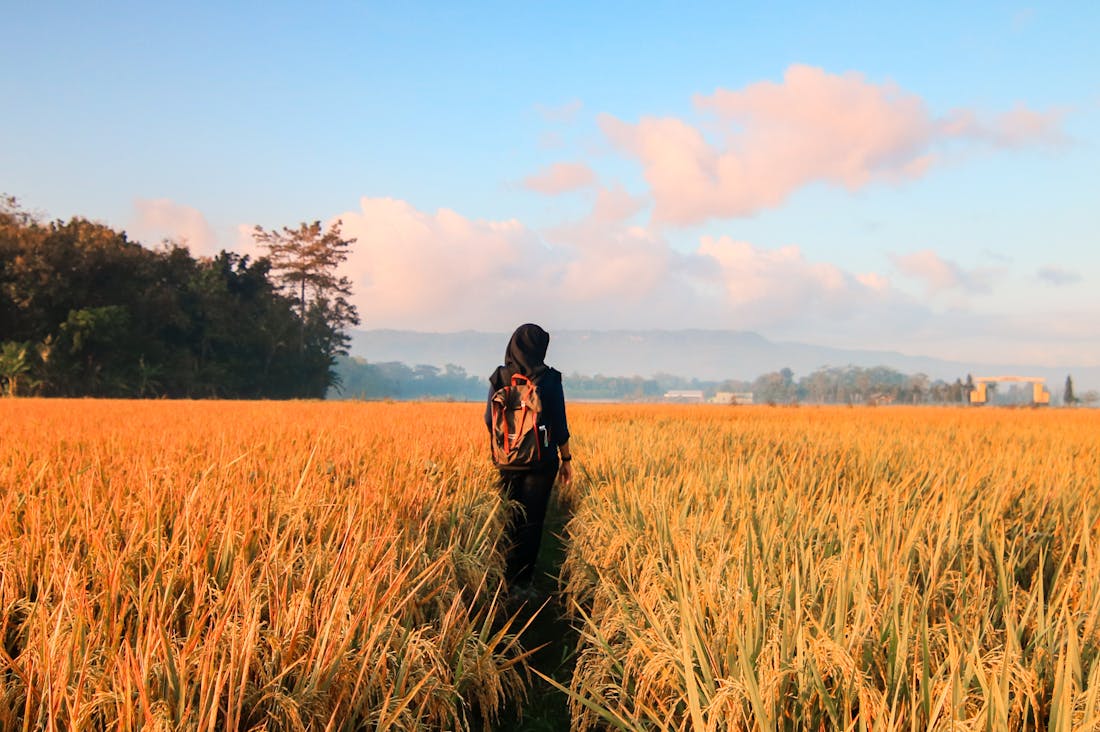 Authentic Travel Experiences that Create Lifelong Memories Image 2