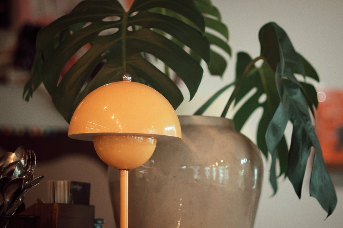 Impact of Sustainable Practices on Modern Living Image 1