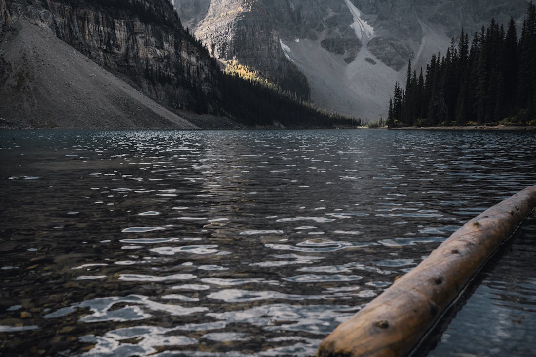 Smart Strategies for Planning a Memorable Family Vacation Image 1