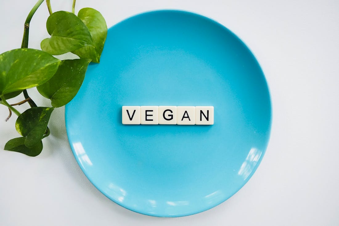 Wellness Trends Shaping the Future of Healthy Living