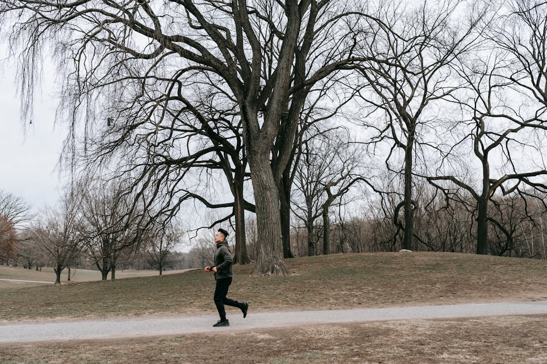 Embracing the Elements: How Nature Can Enhance Your Mental and Physical Well-being Image 3