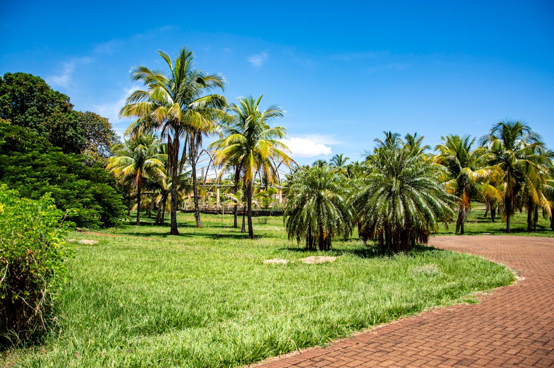 Exploring the Great Outdoors: Best Practices for Sustainable and Responsible Travel Image 1