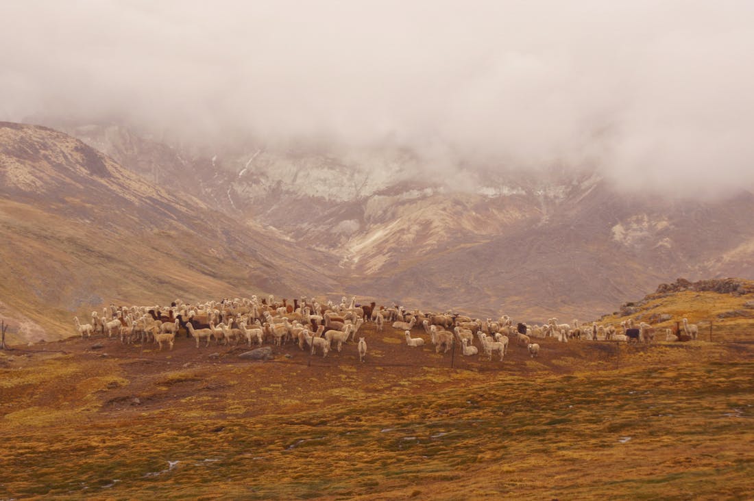 Exploring the World: 5 Unique Travel Experiences Beyond the Tourist Trail Image 3