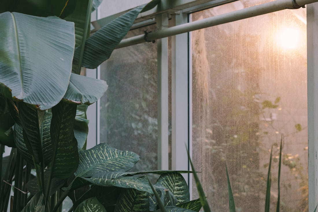 The Art of Mindful Travel: Cultivating Awareness in Your Journeys Across the Globe Image 2
