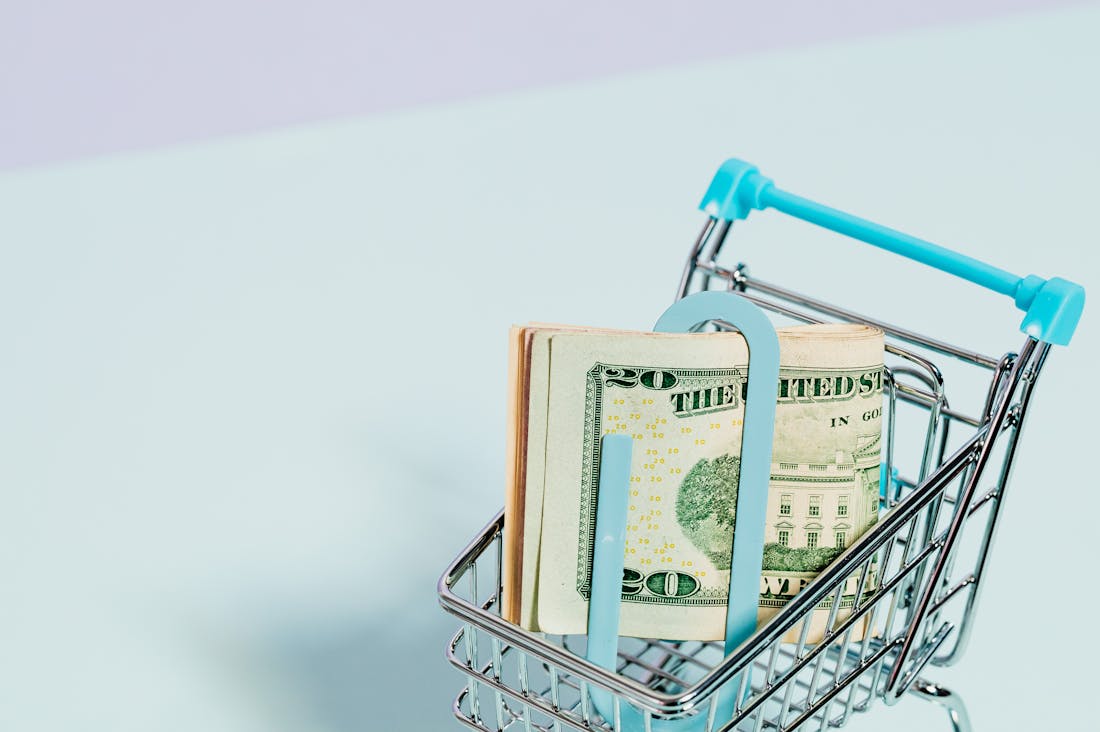 Effective Budgeting Techniques to Empower Your Financial Health Image 2