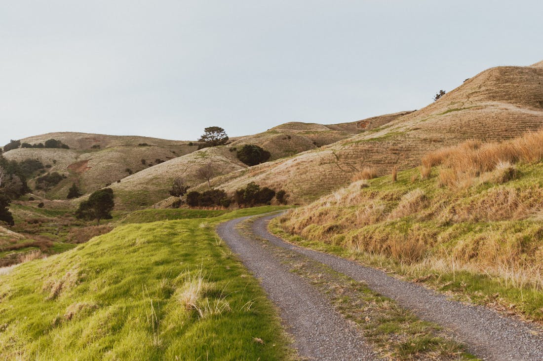 Innovative Travel Experiences That Expand Your Horizons Image 3