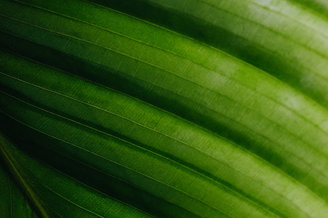 Practical Strategies for Building a Sustainable Lifestyle Image 2
