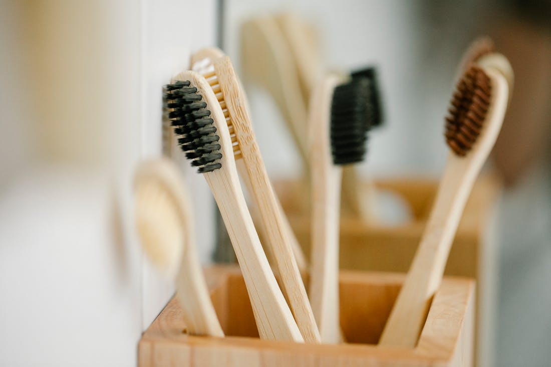 Sustainable Living Choices That Make a Positive Impact on the Planet Image 2