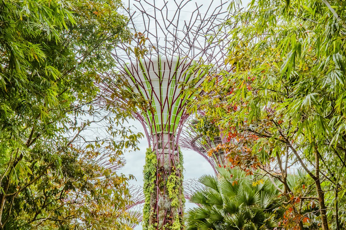 Revolutionizing Your Travel Experience: Sustainable Practices for Conscious Travelers Image 2