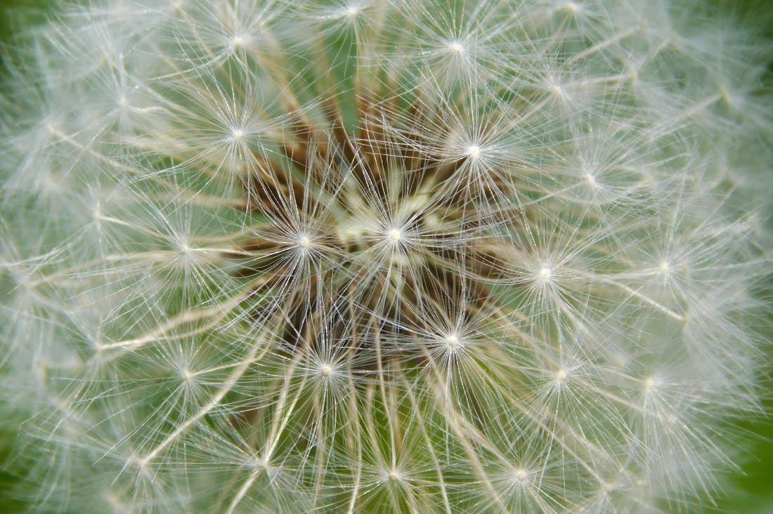 Holistic Health Approaches for a Vibrant Life Image 2