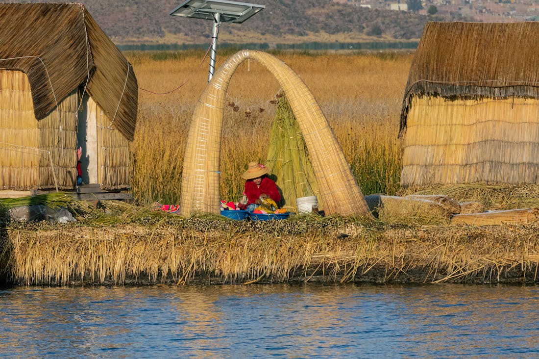 Sustainable Living Practices Improving Quality of Life for Urban Dwellers Image 3