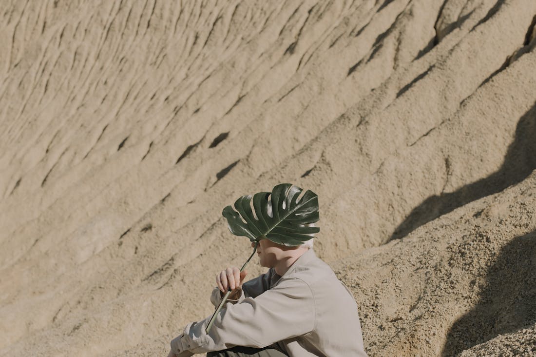 Traveling Sustainably: Making Eco-Conscious Choices on Your Adventures Image 2