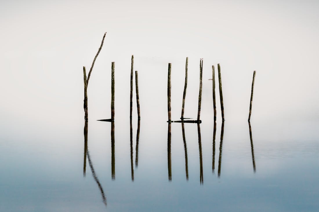 Mindful Living: Practices to Enhance Mental Clarity and Focus Image 3