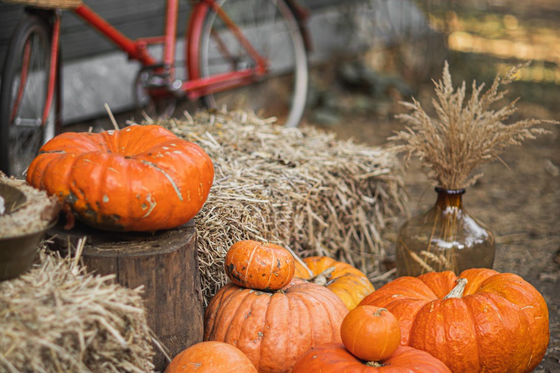 Transform Your Health with Simple Daily Habits for Lasting Wellness