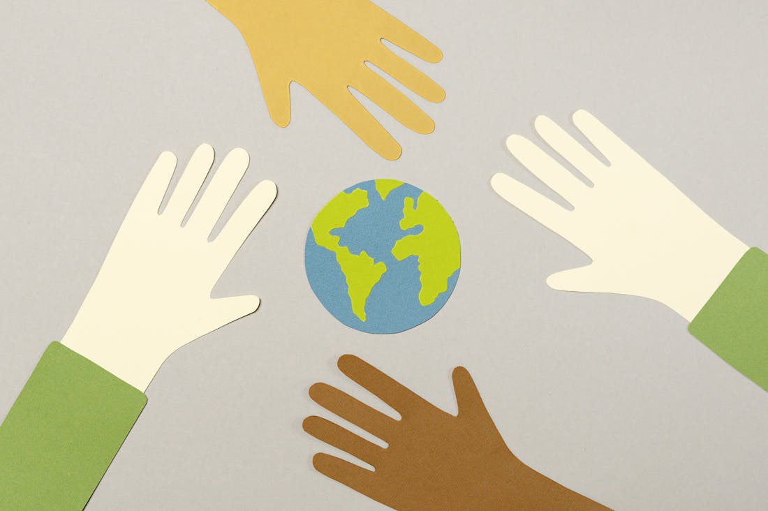 Traveling Sustainably: How to Make Eco-Friendly Choices on Your Adventures Image 2
