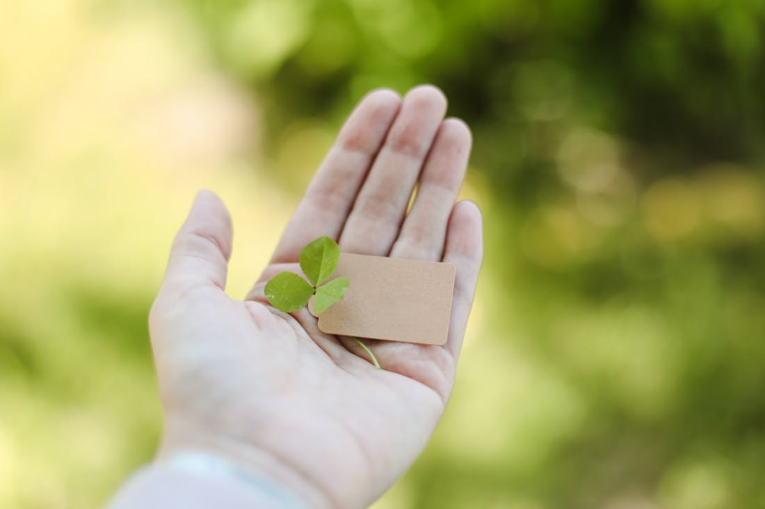 Sustainable Living Made Simple: Integrating Eco-Friendly Practices into Daily Life Image 2