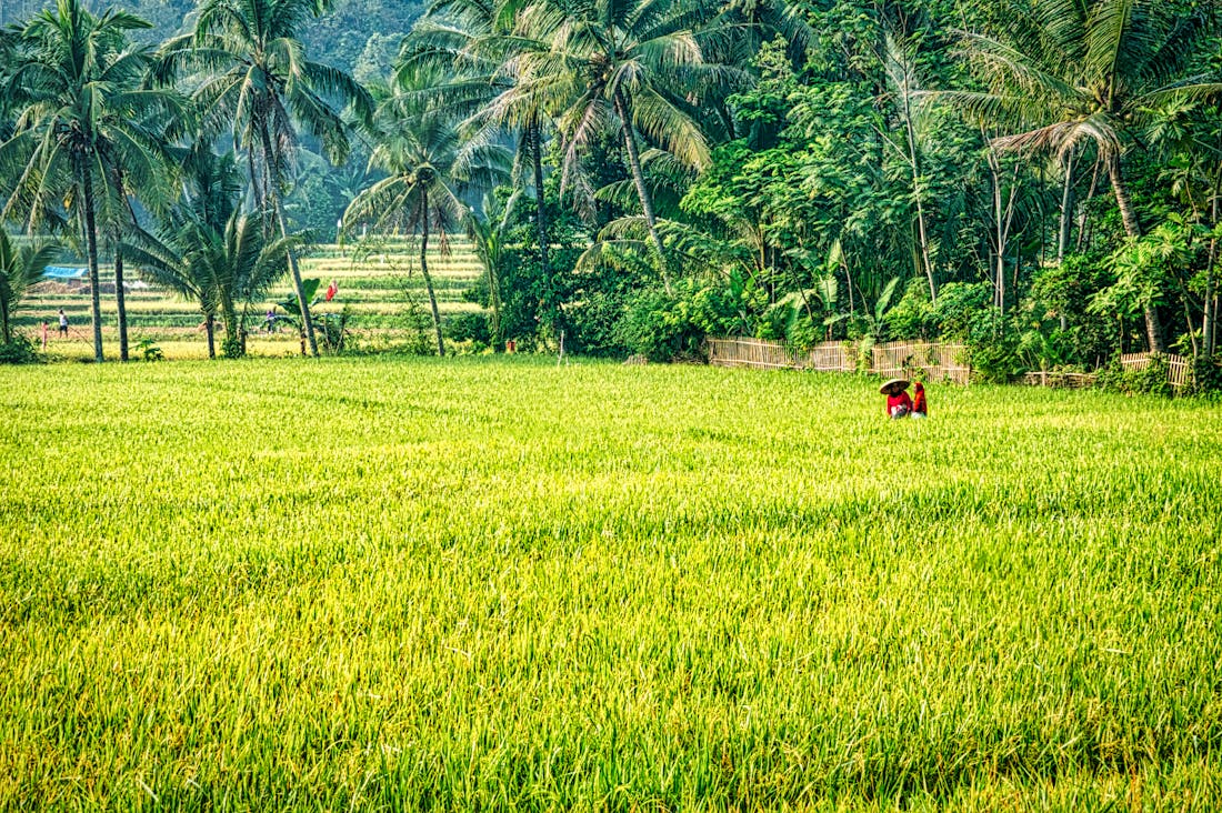 The Art of Travel: Cultivating Cultural Awareness Through Meaningful Journeys Image 2