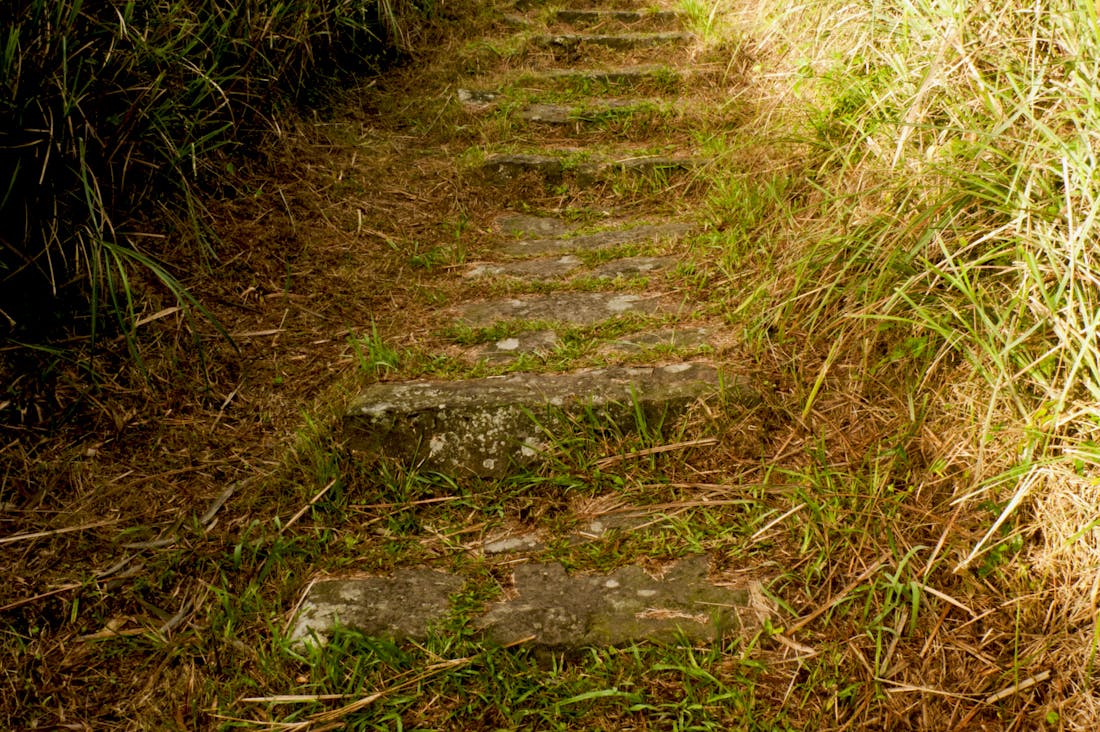 Secrets to Building a Sustainable Travel Lifestyle without Compromise Image 2