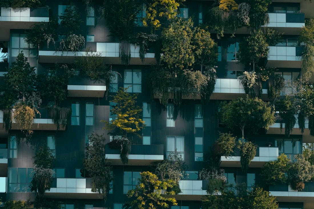 Sustainable Living Practices for a Healthier Planet and Future Generations Image 1