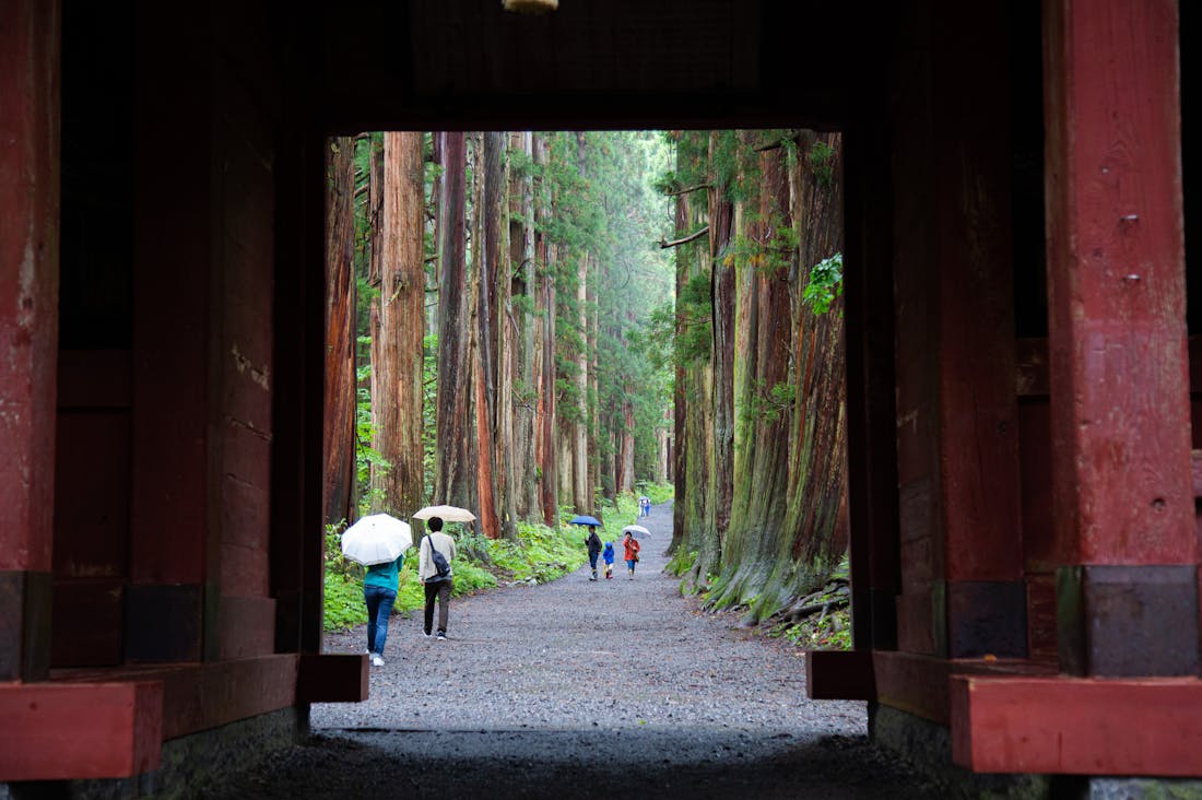 Into the Great Unknown: Planning Your Next Adventure with Travel Hacks and Smart Strategies Image 3
